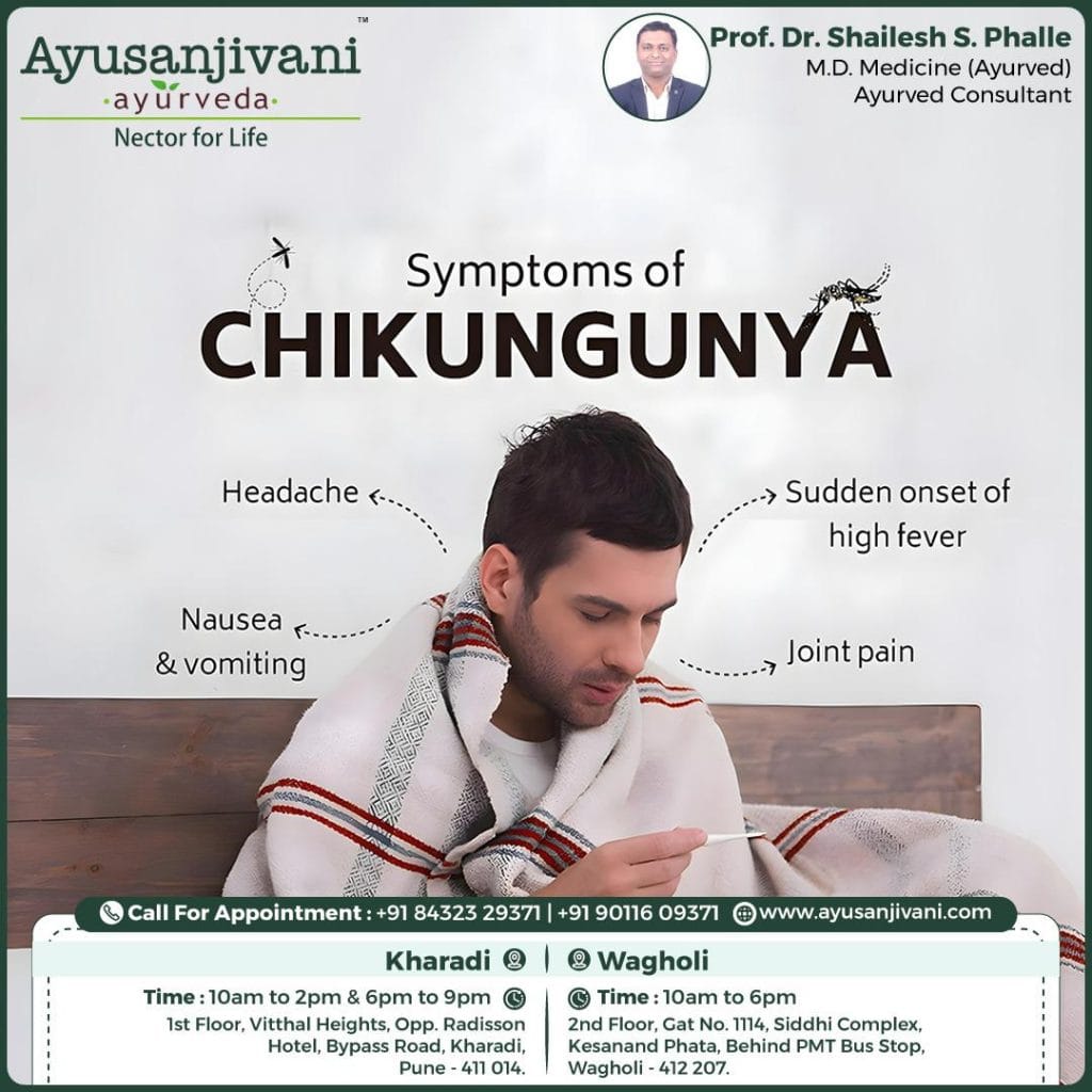 "Chikungunya in India: Rising Cases, Symptoms, and Effective Ayurvedic Treatments":ayusanjivani ayurveda
